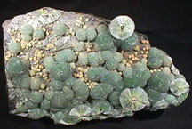 Green and small white wavellite